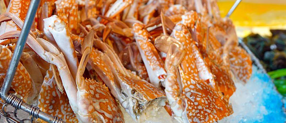 osusume-title-king-crab