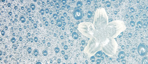 osusume-title-shampoo
