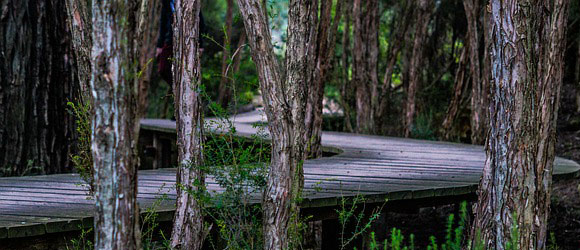 osusume-title-3ds-avg